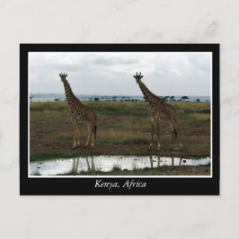 Cartão Postal África Quênia animais selvagens