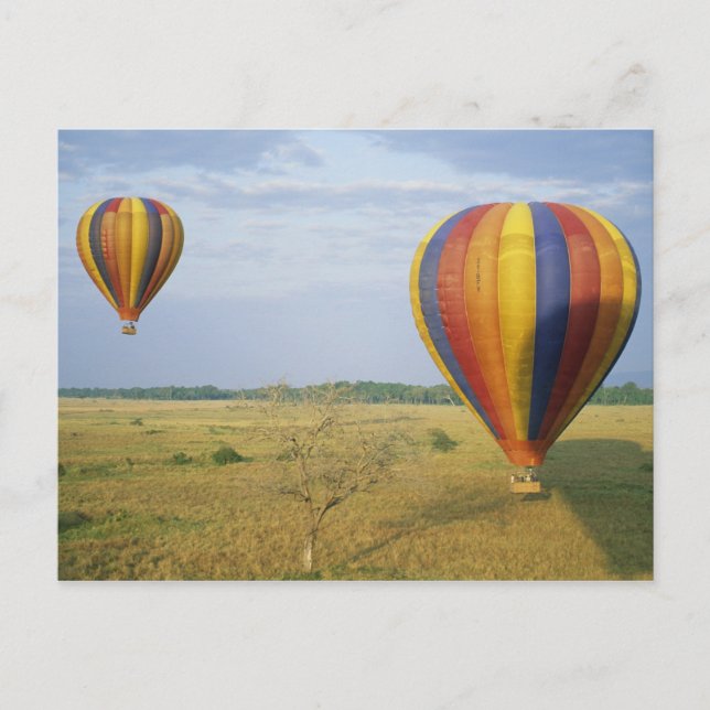 Cartão Postal África, Quénia, Masai Mara National Preserve, (Frente)