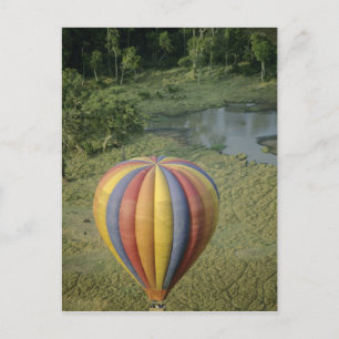 Cartão Postal África, Quênia, Reserva Nacional Masai Mara, 3