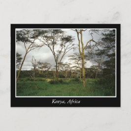 Cartão Postal África Quênia terra selvagem
