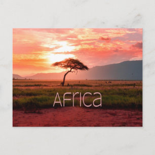 Cartão Postal África Sunset African