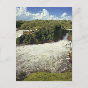 Cartão Postal Africa, Uganda, Murchison Falls NP. The frothy