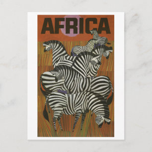 Cartão Postal África, Zebra Africana, Savana, viagens vintage
