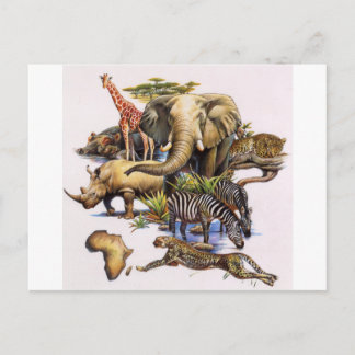 Cartão Postal African Wildlife in Concert