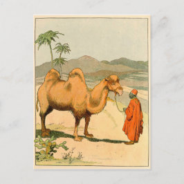Cartão Postal Africano Camel e Desert Traveler