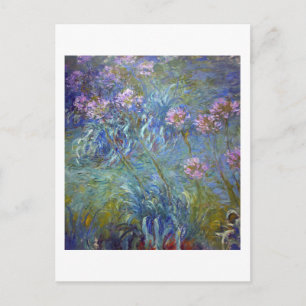 Cartão Postal Agapanthus, Monet