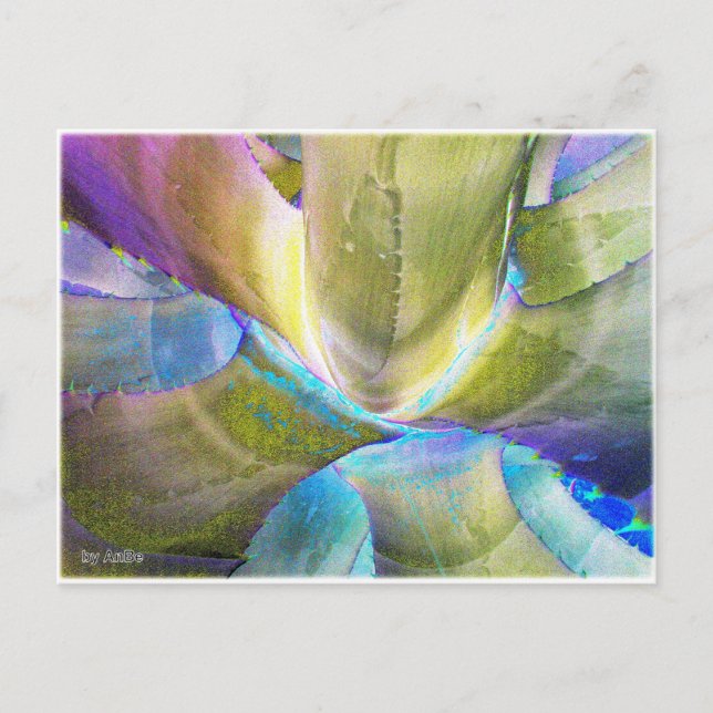 Cartão Postal Agavemetall (Frente)