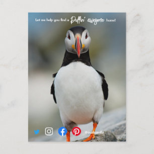 Cartão Postal agente imobiliário puffin incrível marketing postc