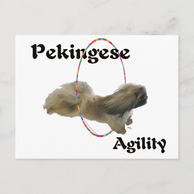 Cartão Postal Agilidade Pekingese (Frente)