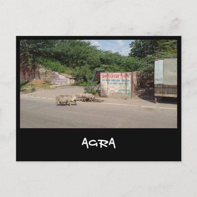 Cartão Postal Agra, Uttar Pradesh (Índia) (Frente)