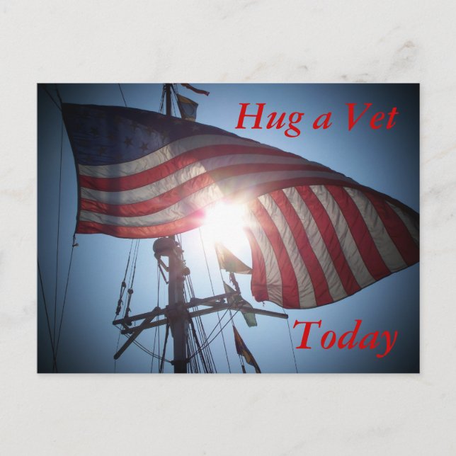 Cartão Postal Agradeça a um veterinário (Frente)