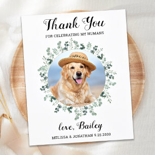 Cartão Postal Agradecimento de casamento de cachorro com foto de
