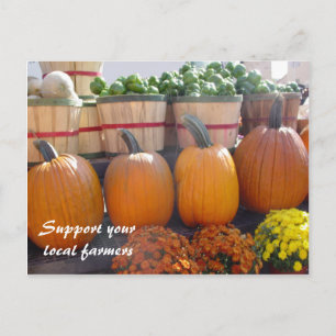 Cartão Postal Agricultores locais