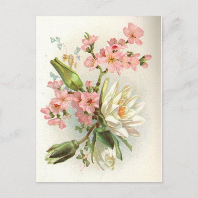 Cartão Postal água (Frente)