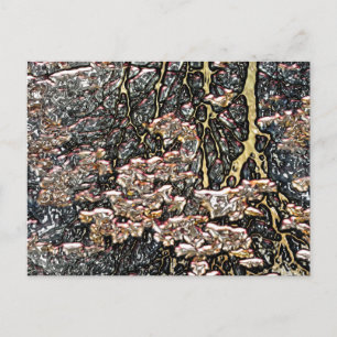 CARTÃO POSTAL ÁGUA