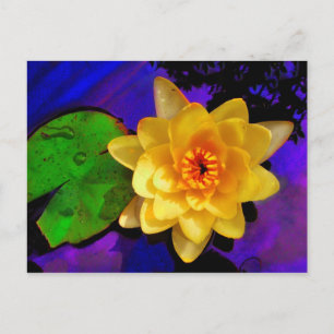 CARTÃO POSTAL ÁGUA AMARELO LILY