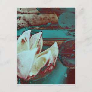 Cartão Postal Água Artística Lilly em Vermelho e Azul