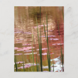 Cartão Postal Água Através De Leeds