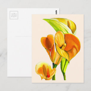 Cartão Postal Água de flor de lírio calla aquarela floral