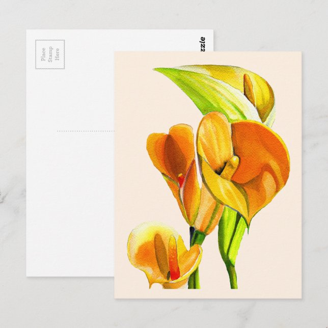 Cartão Postal Água de flor de lírio calla aquarela floral (Frente/Verso)