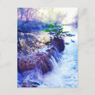 Cartão Postal água encharcada