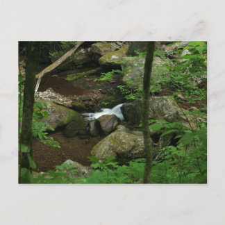 Cartão Postal Água fria