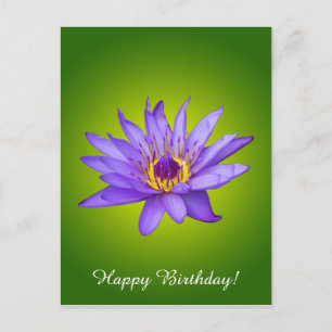 Cartão Postal Água Lily Flower Pond Aquático Púrpura Água Bloque