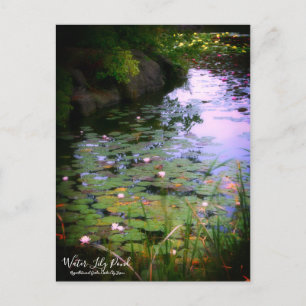 Cartão Postal Água-Lily Pond: Cartão-postal