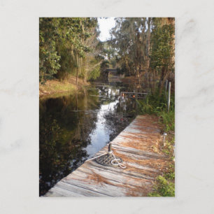 Cartão Postal Água negra da Flórida