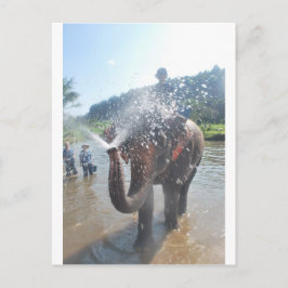 Cartão Postal Água pulverizadora de elefante