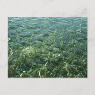Cartão Postal Água sobre Grama do Mar I Caribe Fotografia