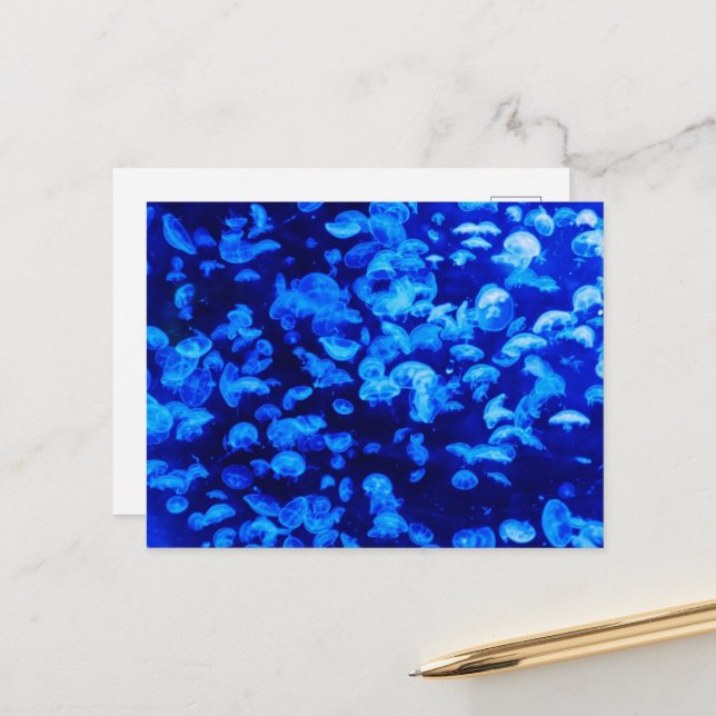 Cartão Postal Água-viva, animais marinhos, vida marinha, animais (Frente/Verso In Situ)