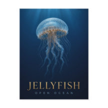 Água-viva Vida Selvagem Oceano Aberto ANIMAL