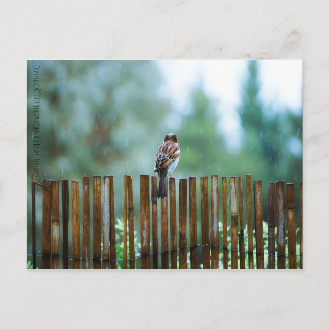 Cartão Postal Aguardando_luz (Frente)