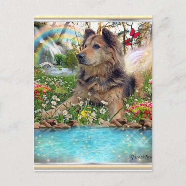 Cartão Postal Aguardando Na Ponte Do Arco-Íris (Frente)