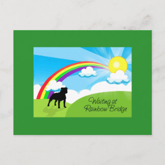 Cartão Postal Aguardando no Rainbow Bridge Pitbulls