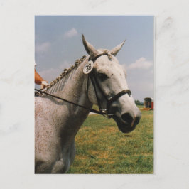 Cartão Postal Aguardando para se Apresentar - Personalizado