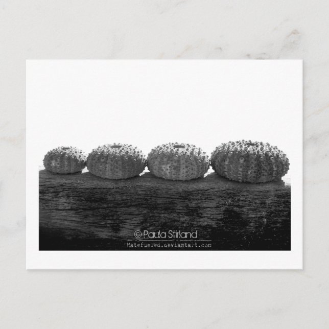 Cartão Postal Aguardar na Linha (Frente)