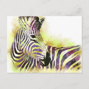 Cartão Postal Aguarela Zeba
