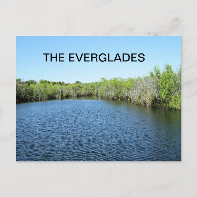 CARTÃO POSTAL ÁGUAS DOS EVERGLADES (Frente)