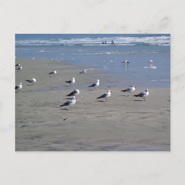 CARTÃO POSTAL ÁGUAS NA PRAIA (Frente)