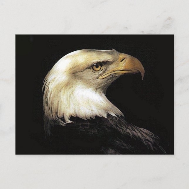 Cartão Postal Águia (Frente)