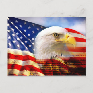 Cartão Postal Águia americana da bandeira americana