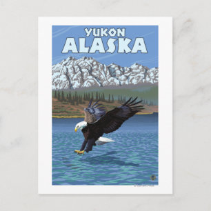 Cartão Postal Águia Americana Mergulhando - Yukon, Alasca