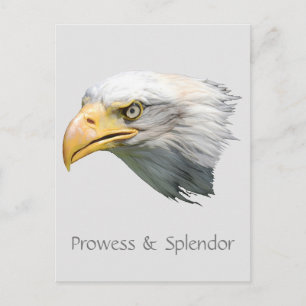 Cartão Postal Águia Americana Personalizável Proeza e Esplendor