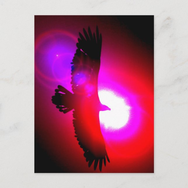 Cartão Postal Águia Bald Americano (Frente)