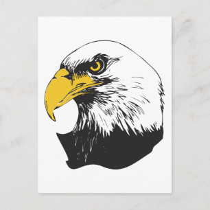 Cartão Postal Águia Bald Americano