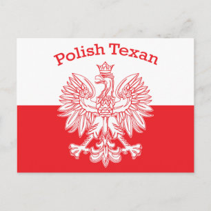 Cartão Postal Águia Branca Polonesa Texana