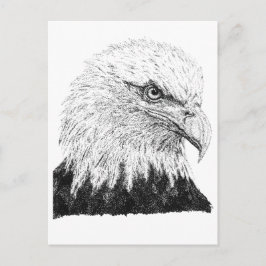 Cartão Postal Águia-careca Arte Patriótica EUA Preto Branco Pont