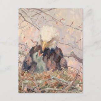 Cartão Postal Águia Careca e Aguieta Arte da Natureza Mensagem P